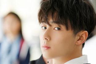 miek所有资料,全面解析这位神秘艺术家的创作世界