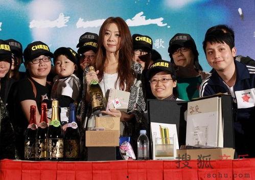 搜狐铂金娱乐,引领潮流的娱乐盛宴