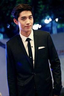 胖胖的演员男演员,揭秘那些银幕上的男演员风采