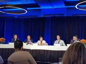 邹沙沙背景,从平凡女孩到璀璨明星的蜕变之路