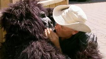 学大猩猩搞笑视频