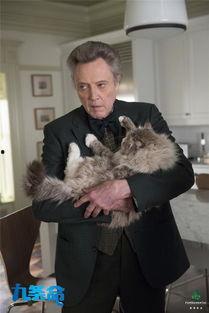 九条命搞笑吗,笑翻你的日常奇幻冒险