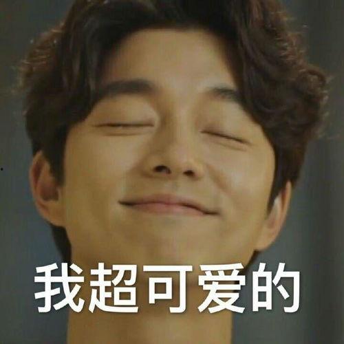 孔刘 图片表情包,演绎百变魅力，笑点满满